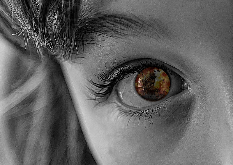 Charities, NGOs and Volunteers – The Backbone of Refugee Support