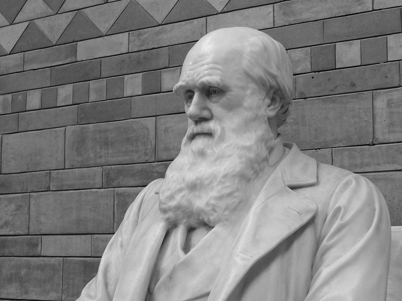 The Customer Evolution: the Nature of Business-Consumer Relationship Today