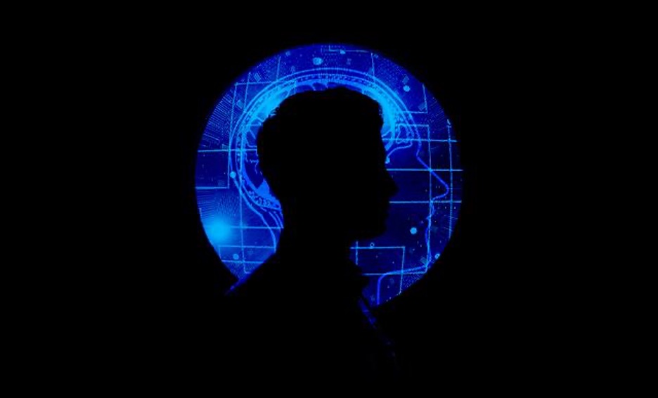 human element in digital worlds